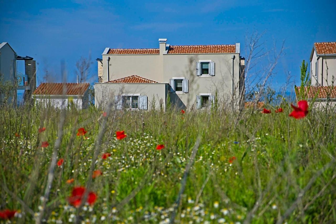 Villa Flamingo Kaštelir Kültér fotó